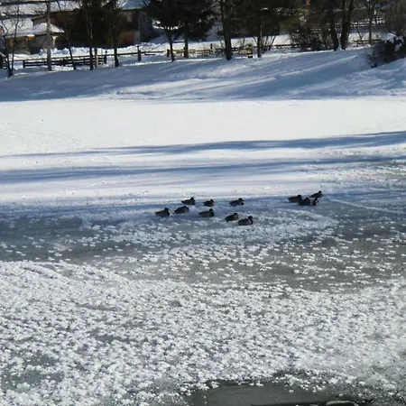 Appartamento In Stubaital Near Lift