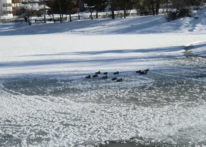 Appartement In Stubaital Near Lift